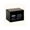 AGM Battery 100Ah 12V - Maintenance-free