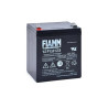 Batterie FIAMM AGM 5Ah - Idéale pour Photovoltaïque