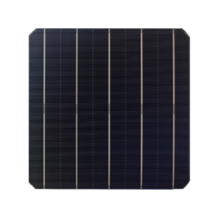 Célula solar monocristalina de 6"x6" o 159x159mm de 5BB