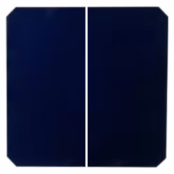 Célula solar Monocristalina Sunpower 2.5”x5” o 62x125mm Contacto posterior